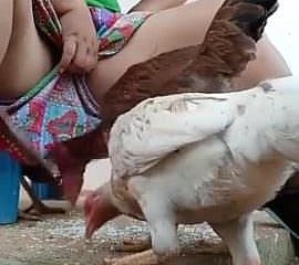 Must await desi bhabi feeding hen