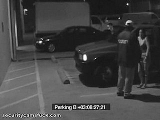 Parking Lot Action Turned Overwrought A Security Camera